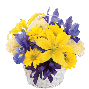 Spirit of Spring