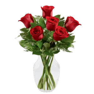 The Simply Enchanting Rose